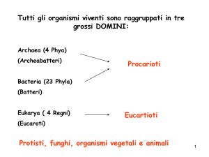 I e II lezione - e