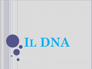 LA DUPLICAZIONE DEL DNA