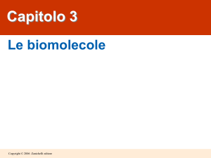 Le biomolecole - Liceo Galileo Galilei