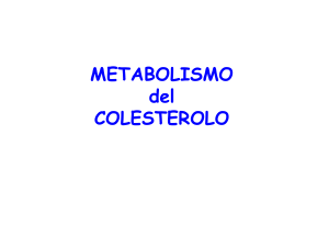 14_colesterolo