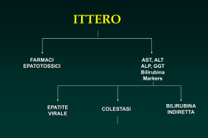 ittero - MEDNEMO.it