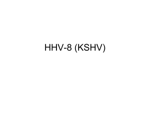 HHV-8 (KSHV) - Haik Zarian