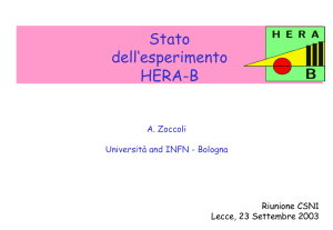 zoccoli_risultati_herab - INFN