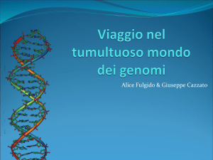 Viaggio nel mondo dei Genomi