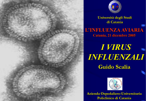 Influenza - Axada Catania