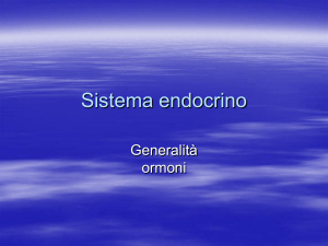 endocrino1