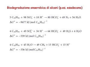 Lez11 aromatici anaerobico Archivo