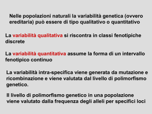 Nessun titolo diapositiva - Università degli Studi di Roma "Tor Vergata"
