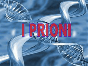I Prioni - Medicina Unict