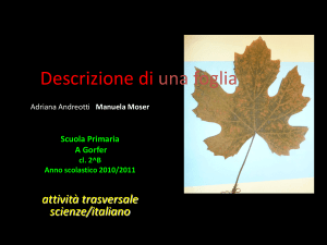 Diapositiva 1 - Istituto Trento 5