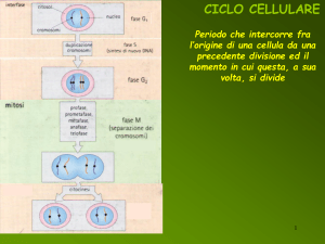 La cellula parte 2