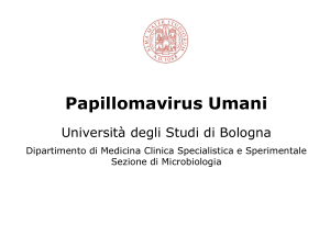 papillomavirus - AppuntiMedicina