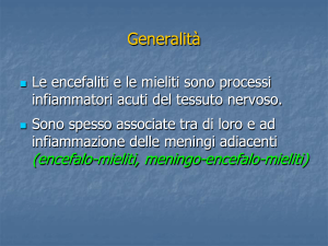 Lezione meningiti ed encefaliti File - e