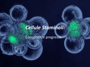 Cellule Staminali