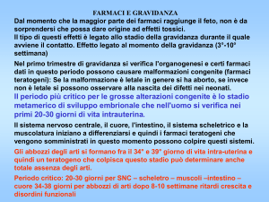 Gravidanza e allattamento File