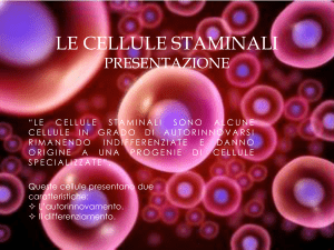 Le cellule staminali