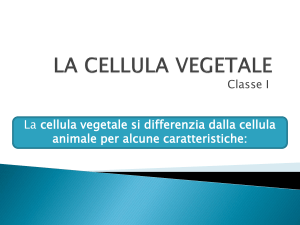 la cellula vegetale - Istituto San Giuseppe Lugo
