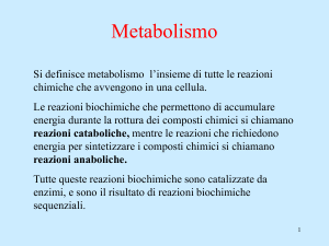 Metabolismo microbico File - e