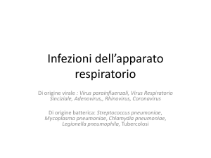 apparato respiratorio File - e