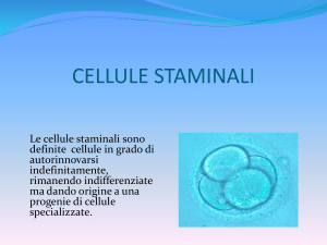 Diapositiva 1 - Scienza Attiva
