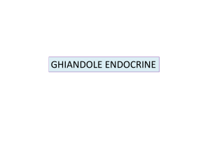 Ghiandole endocrine File
