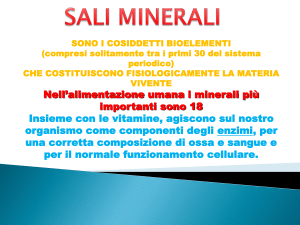 Minerali File