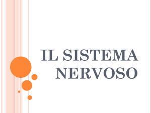 Diapositiva 1 - Istituto San Giuseppe Lugo