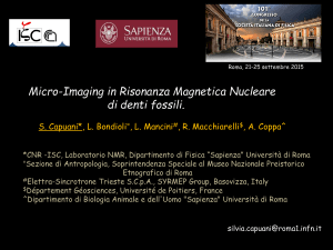 Micro-Imaging in Risonanza Magnetica Nucleare di