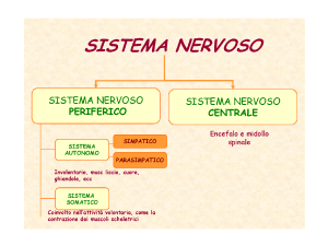 Farmaci e sistema nervoso periferico File