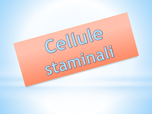 cosa sono le cellule staminali?