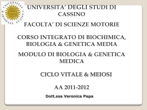 lezione 6: ciclo vitale e meiosi