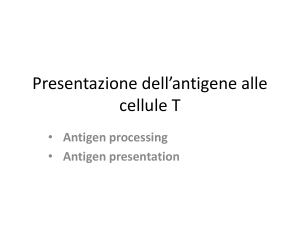 Presentazione dell*antigene alle cellule T
