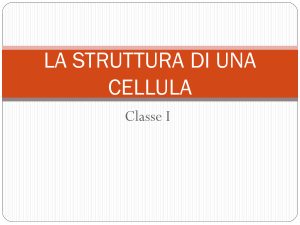 la struttura di una cellula - Istituto San Giuseppe Lugo