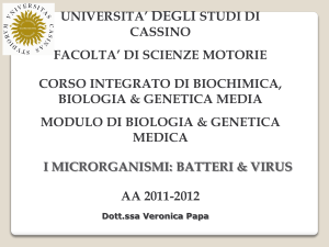 lezione 4: virus e batteri