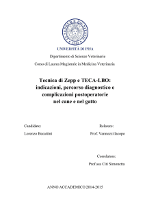 Tecnica di Zepp e TECA-LBO: indicazioni, percorso