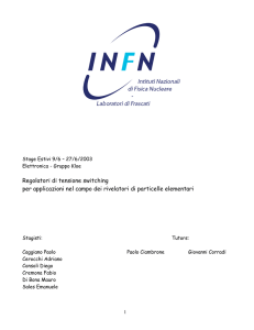 Relazione comune - INFN-LNF