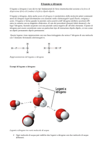Il legame a idrogeno - Progetto e