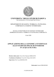 Documento PDF (Tesi di dottorato)