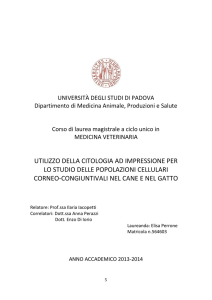 Documento PDF - Università di Padova