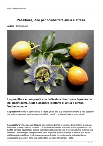 Passiflora, utile per combattere ansia e stress