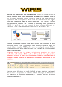 Italian version - Collaborative maths on the net