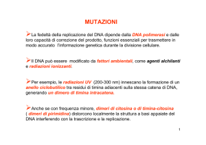 Tecnologia DNA ricombinante