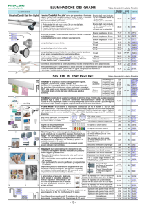 ILLUMINAZIONE DEI QUADRI SISTEMI di ESPOSIZIONE