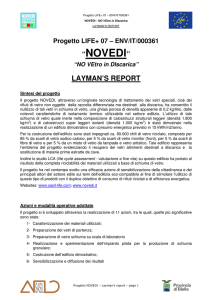 Progetto NOVEDI - Layman`s report