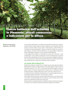 Quaderni della Regione Piemonte • Agricoltura N. 70