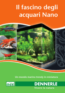 Il fascino degli acquari Nano
