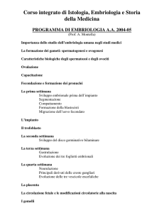 1a1s MC Embriologia Montella 2004