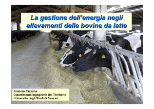 Gestione energia allevamenti bovine da latte [file ]