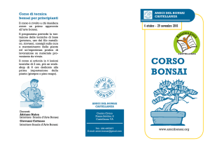 Corso base_2016 - Amici del Bonsai