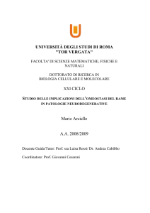 TESI DOTTORATO XXI CICLO Arciello Mario